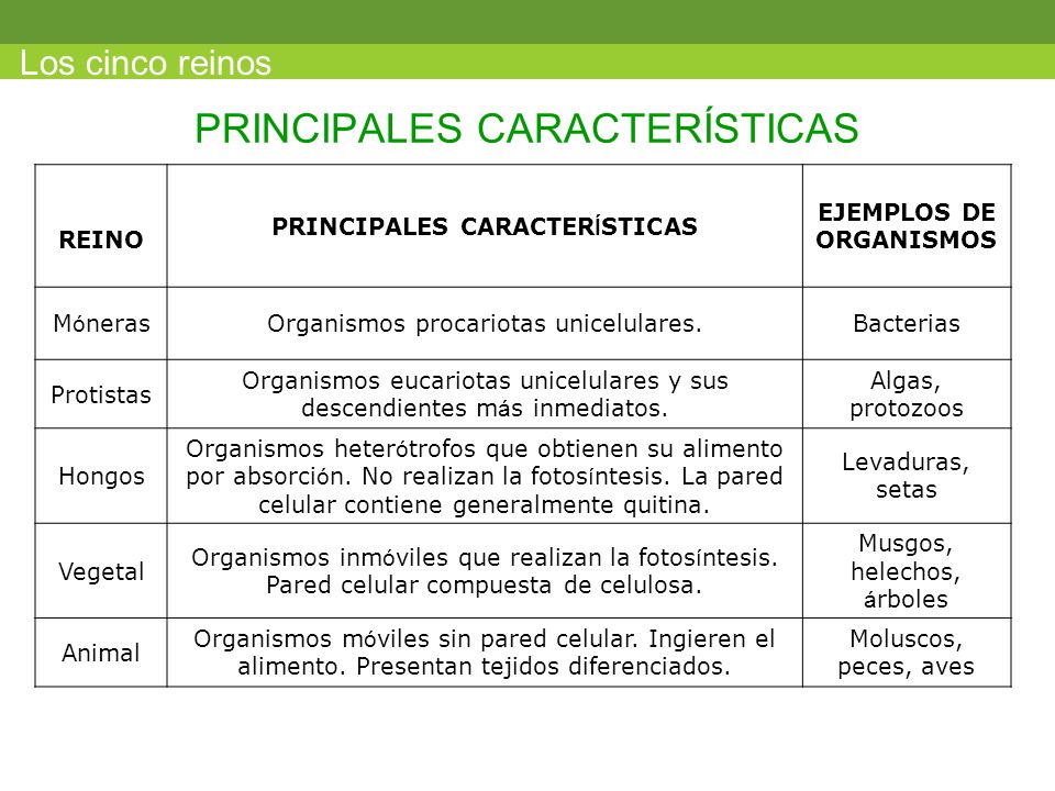 un organismo de cada reino un organismo de cada reino